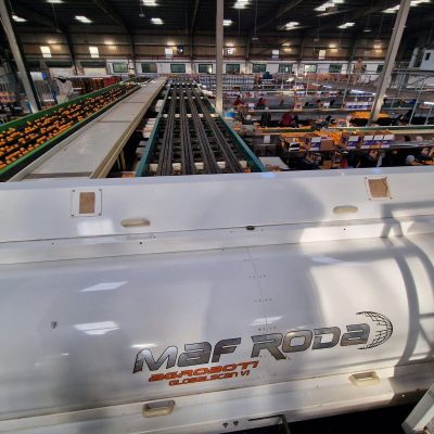 WhatsApp Image 2025-04-25 at 15.01.00