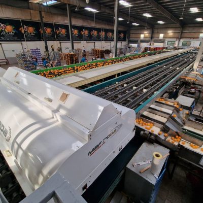 WhatsApp Image 2025-04-25 at 15.01.01