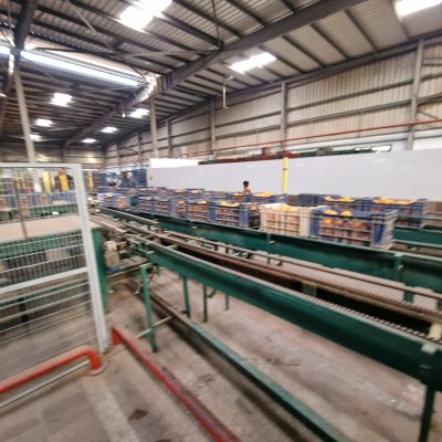 WhatsApp Image 2025-04-25 at 15.01.02 (2)