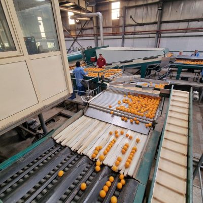 WhatsApp Image 2025-04-25 at 15.01.02 (3)