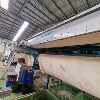 WhatsApp Image 2025-04-26 at 17.46.57