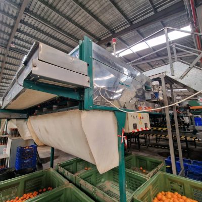 WhatsApp Image 2025-04-26 at 17.46.59 (1)