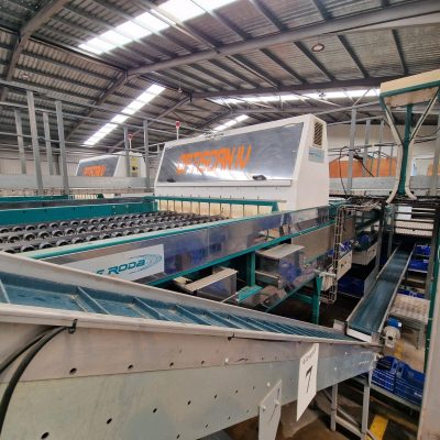 WhatsApp Image 2025-04-26 at 17.47.06