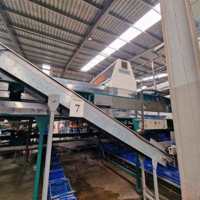 WhatsApp Image 2025-04-26 at 17.47.07 (1)