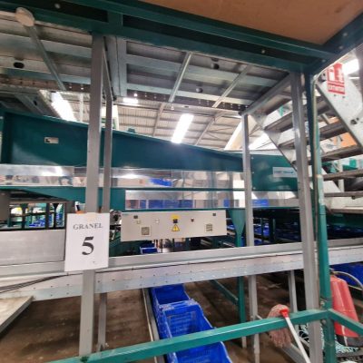 WhatsApp Image 2025-04-26 at 17.47.08 (1)