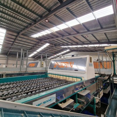 WhatsApp Image 2025-04-26 at 17.47.08