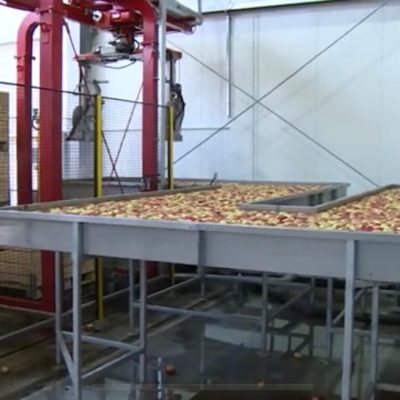 WhatsApp Image 2025-05-18 at 11.58.42