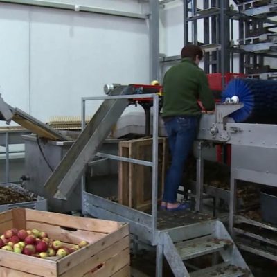 WhatsApp Image 2025-05-18 at 11.58.43