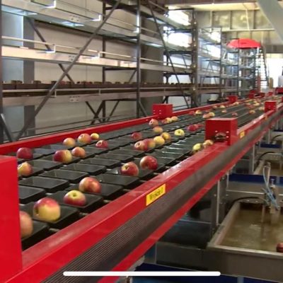 WhatsApp Image 2025-05-18 at 11.58.44 (1)