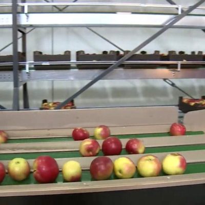 WhatsApp Image 2025-05-18 at 11.58.44