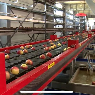 WhatsApp Image 2025-05-18 at 11.58.45