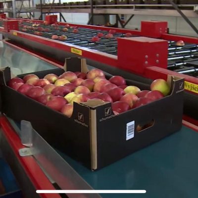 WhatsApp Image 2025-05-18 at 11.58.46 (1)