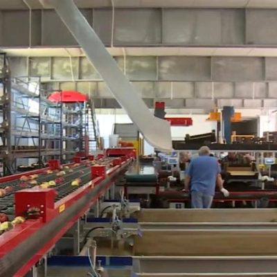 WhatsApp Image 2025-05-18 at 11.58.46