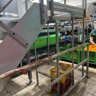 WhatsApp Image 2025-05-20 at 12.10.27 (1)