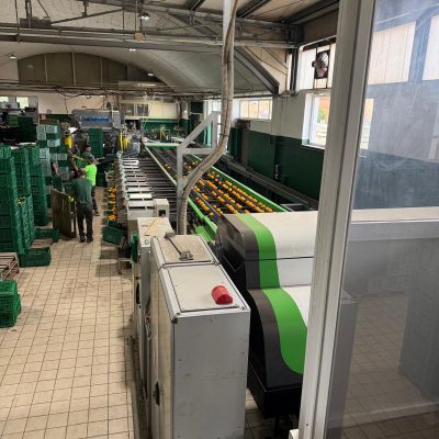 WhatsApp Image 2025-05-20 at 12.10.27 (3)