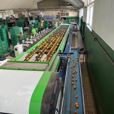 WhatsApp Image 2025-05-20 at 12.10.28 (1)