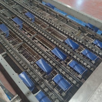 WhatsApp Image 2025-05-28 at 09.07.14 (2)