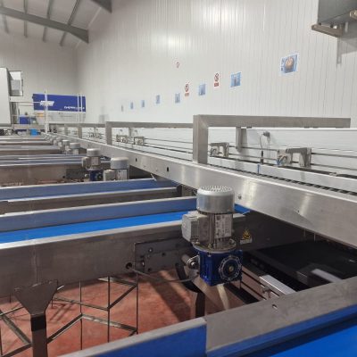 WhatsApp Image 2025-06-13 at 20.25.29