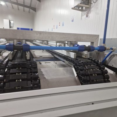 WhatsApp Image 2025-06-13 at 20.25.31