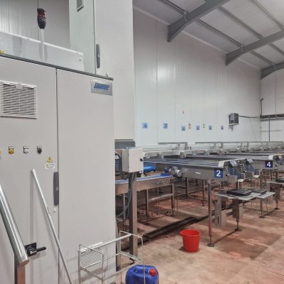 WhatsApp Image 2025-06-13 at 20.25.33