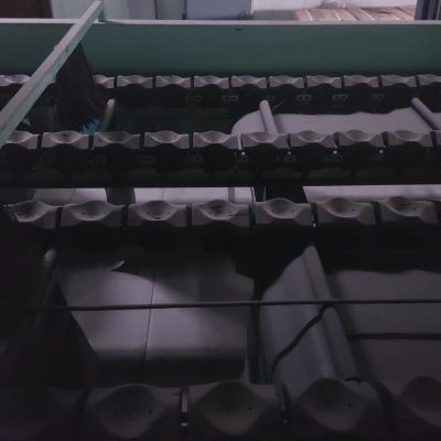 WhatsApp Image 2025-06-20 at 11.28.28 (1)