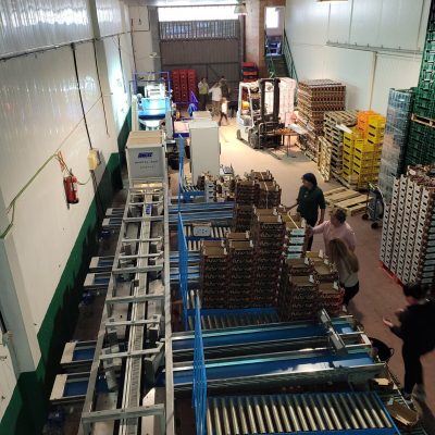 WhatsApp Image 2025-06-24 at 12.49.26