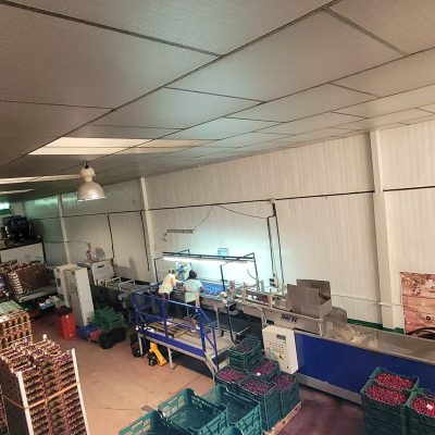 WhatsApp Image 2025-06-24 at 12.49.48