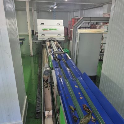 WhatsApp Image 2025-07-01 at 18.13.01