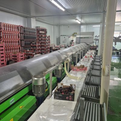 WhatsApp Image 2025-07-01 at 18.13.03 (2)