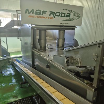 WhatsApp Image 2025-07-01 at 18.13.03