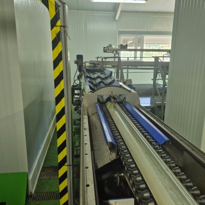 WhatsApp Image 2025-07-01 at 18.13.04 (2)