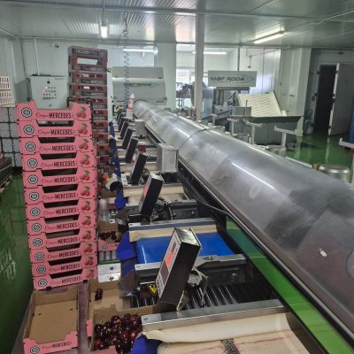 WhatsApp Image 2025-07-01 at 18.13.04