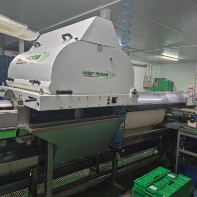 WhatsApp Image 2025-07-01 at 18.13.05