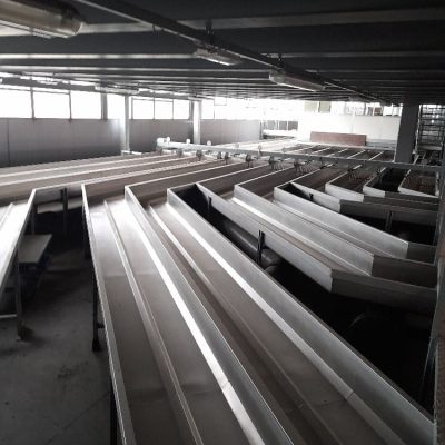 WhatsApp Image 2025-09-03 at 16.21.52 (1)