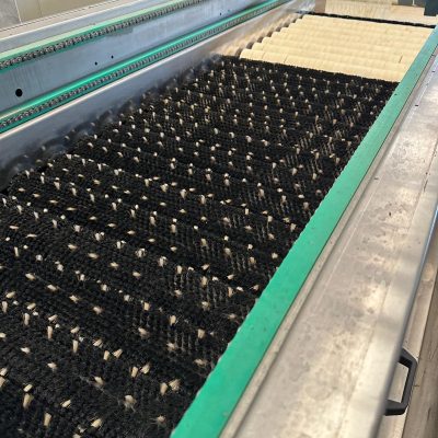 WhatsApp Image 2025-09-03 at 16.21.54