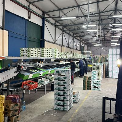 WhatsApp Image 2025-09-05 at 00.06.58