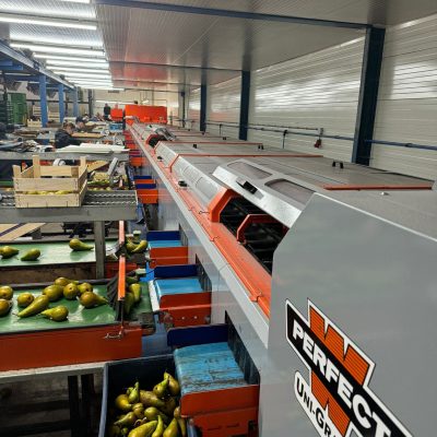 WhatsApp Image 2025-09-15 at 11.46.31 (2)