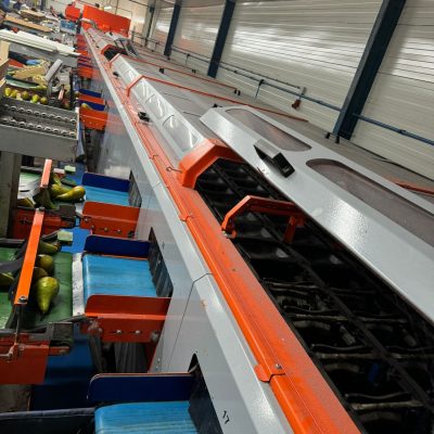 WhatsApp Image 2025-09-15 at 11.46.31 (3)