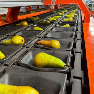 WhatsApp Image 2025-09-15 at 11.46.31 (4)