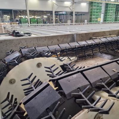 WhatsApp Image 2025-09-17 at 13.52.39 (1)