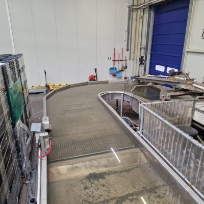 WhatsApp Image 2025-09-17 at 13.52.41 (11)