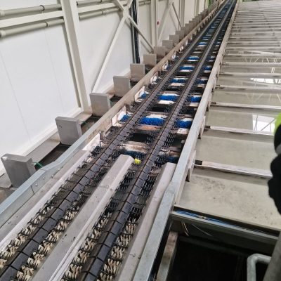 WhatsApp Image 2025-09-17 at 13.52.41 (6)