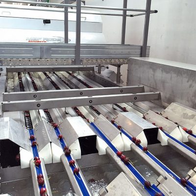 WhatsApp Image 2025-09-25 at 15.53.05 (1)