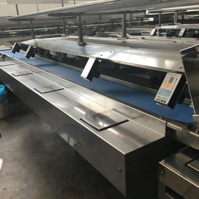 WhatsApp Image 2025-09-25 at 15.53.05 (3)