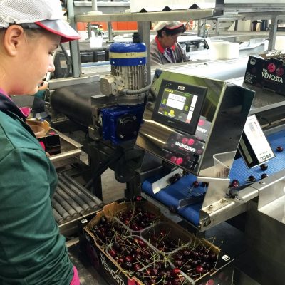 WhatsApp Image 2025-09-25 at 15.53.05 (4)