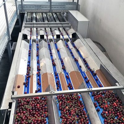 WhatsApp Image 2025-09-25 at 15.53.05 (5)