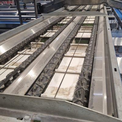 WhatsApp Image 2025-10-20 at 09.26.46 (4)