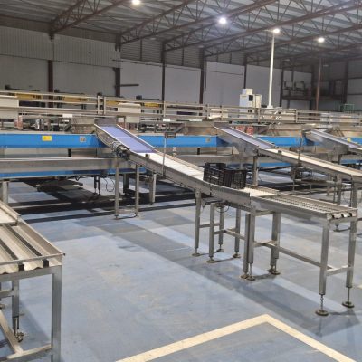 WhatsApp Image 2025-10-20 at 09.26.46 (5)