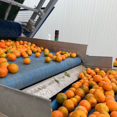 WhatsApp Image 2025-11-07 at 10.26.53