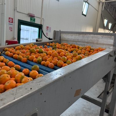 WhatsApp Image 2025-11-07 at 10.26.54 (1)